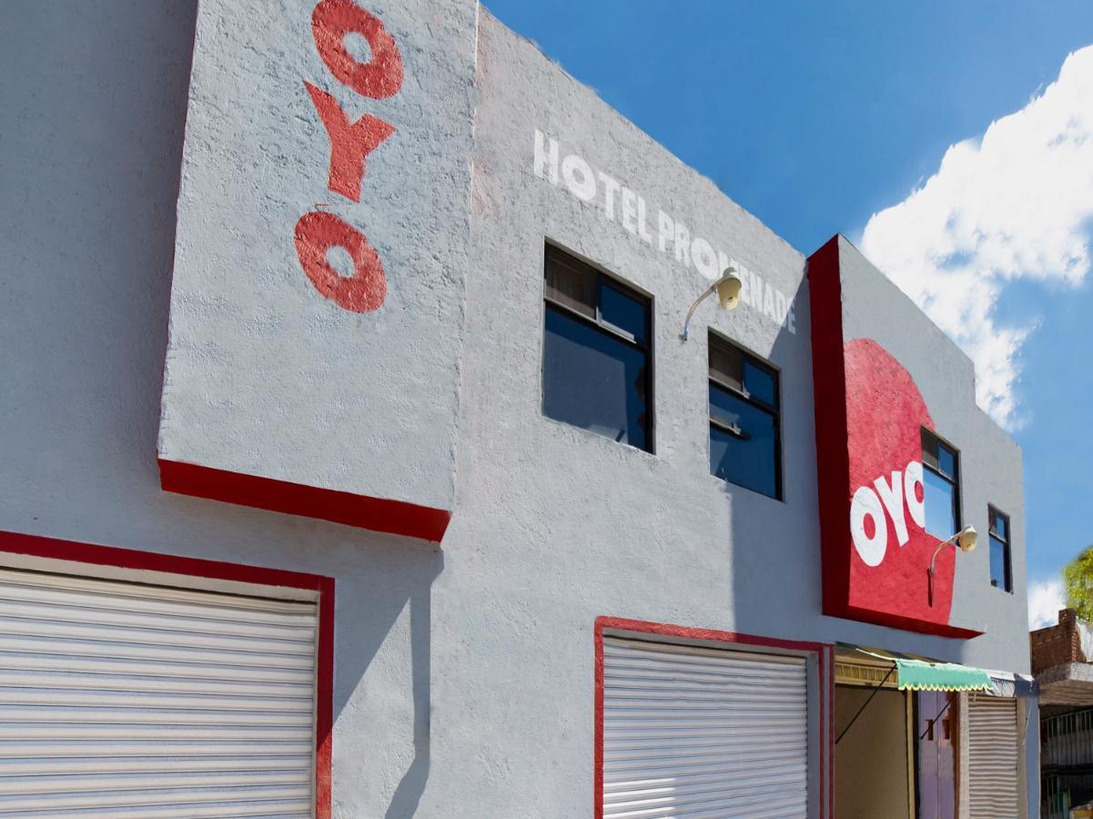 Oyo Promenade,Terminal Central De Autobuses De גואנאחואטו מראה חיצוני תמונה