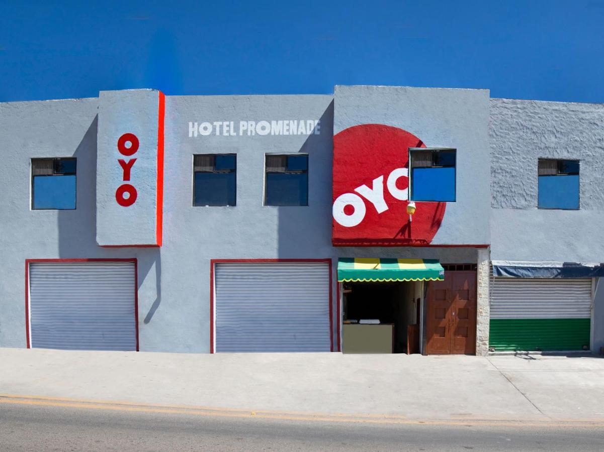 Oyo Promenade,Terminal Central De Autobuses De גואנאחואטו מראה חיצוני תמונה